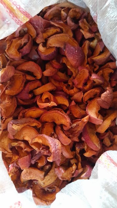 Сушоные яблони домашние