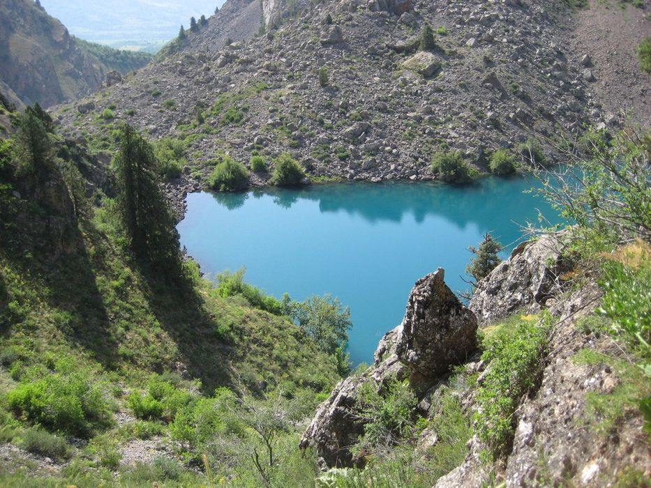 Экскурсии.Горы.Трансфер.Чимган. Чарвак.Амирсой. Минивэн, электрокар
