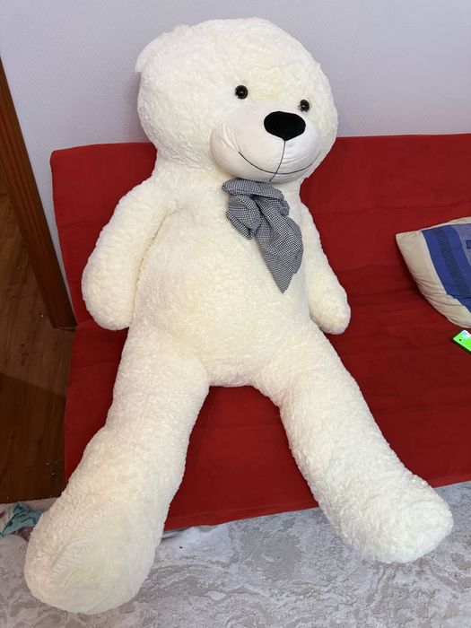 Продам мишку и цветы