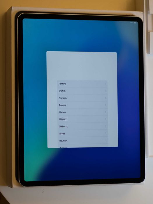 iPad Pro 12.9" 2020 Wi-Fi 256GB + Apple Pencil 2 + Paperlike & Husă