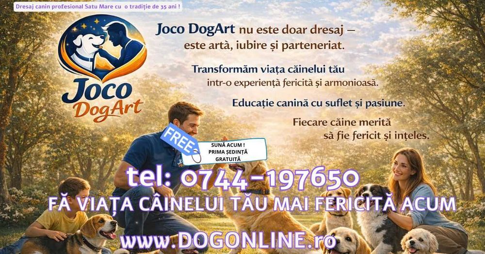 Dresaj canin Satu Mare
