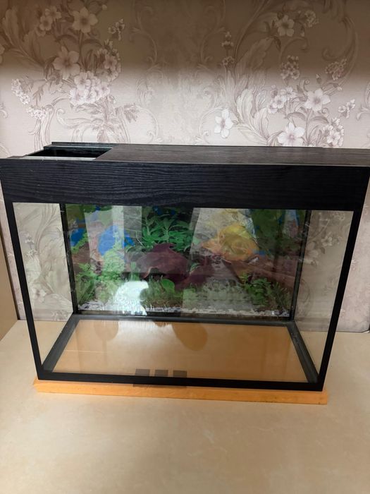 Продам аквариум в полном комплекте