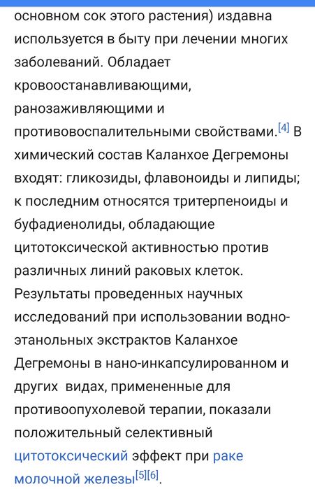 Лечебный цветок Каланхоэ Дегремона