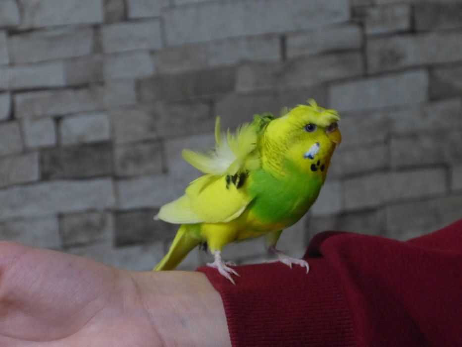 Фотоапарат panasonic lumix fz150