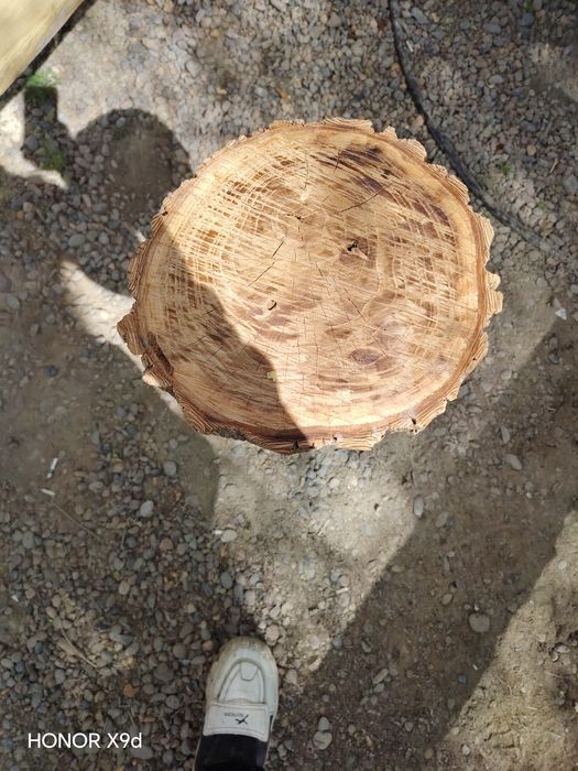 Gósht kóbak bn taxtacha sotiladi chisti gujumdan