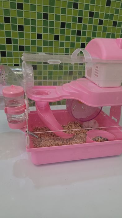 Продам хомяка с клеткой