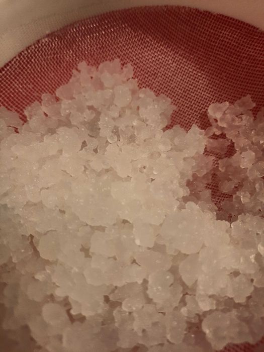 Ciuperca kefir tibetana ciuperca lapte apa kombucha