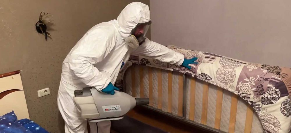 Дезинфекция насекомых Dezinfeksiya dezenfeksiya dizinfeksiya 24 soat