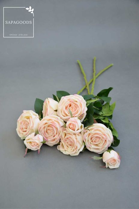 Роза Экрю 3 бутона 70см 1шт