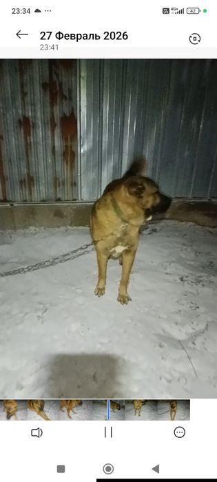 Продам или обменаяю