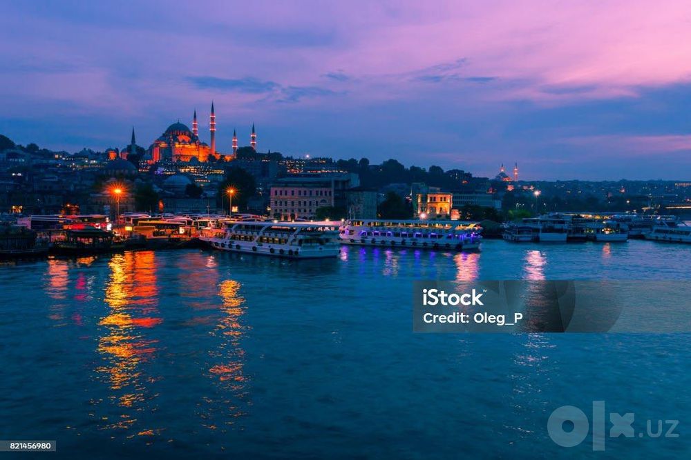 Istanbul Sayohati: Mehmonxona, Gid va Transfer xizmatlari