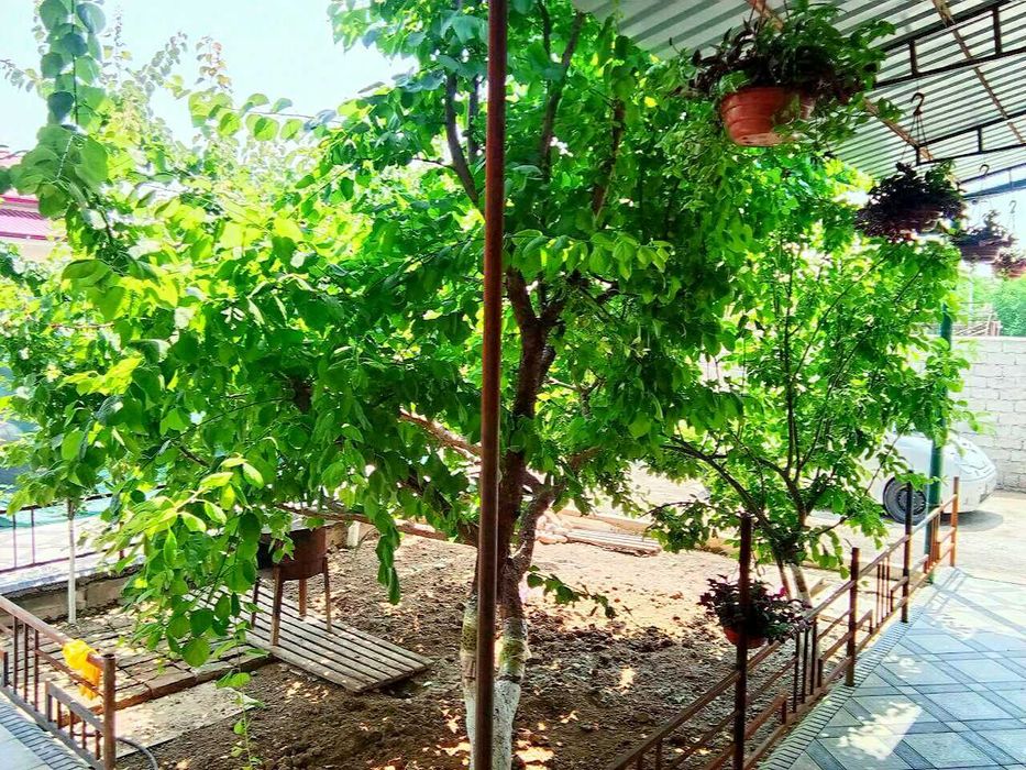 ПРОДАЕТСЯ ДОМ 4.5 СОТОК  4 ком на границе Ташкента  Кибрай рн