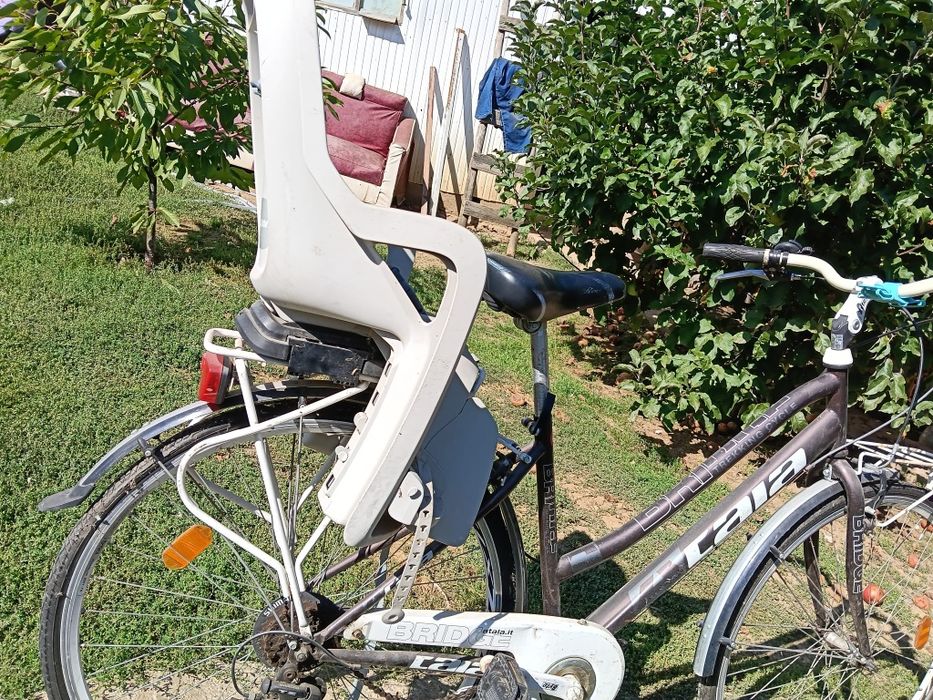 Biciclete bărbați femeii copiii