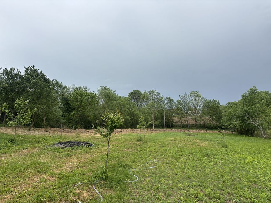 Vand teren In Recas sat Petrovaselo 1050 mp 19999 euro!!