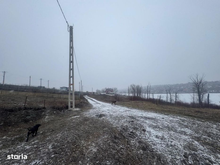 950 mp , pe malul lacului Dorobant / Sorogari