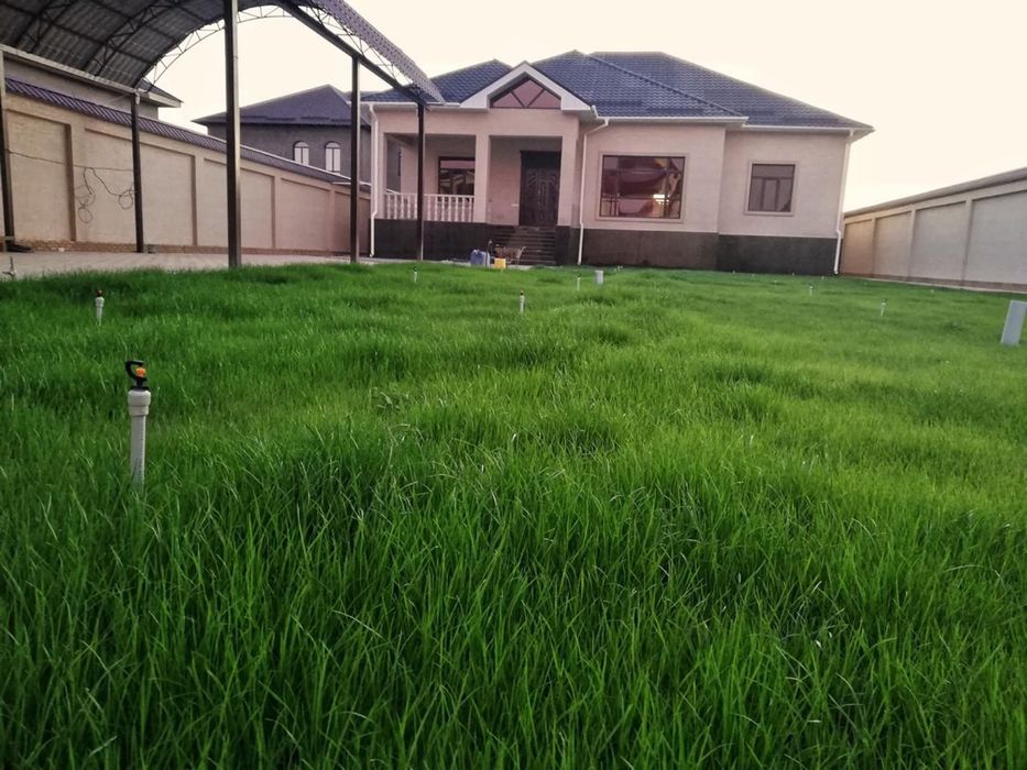 Газон Автополив ручной полив