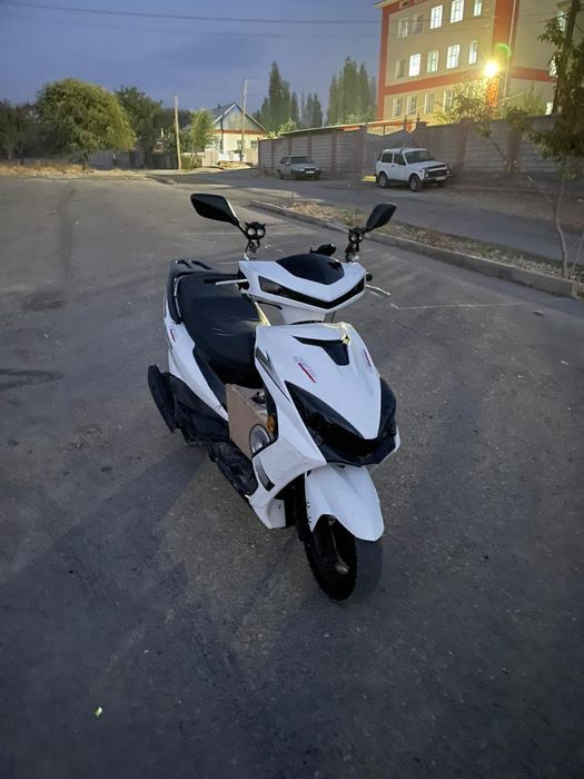 М 10 Звер нахаду