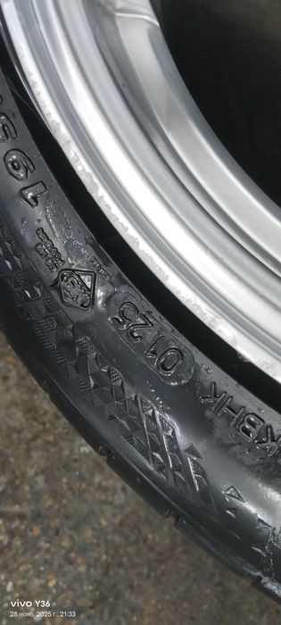 Торус торус торес