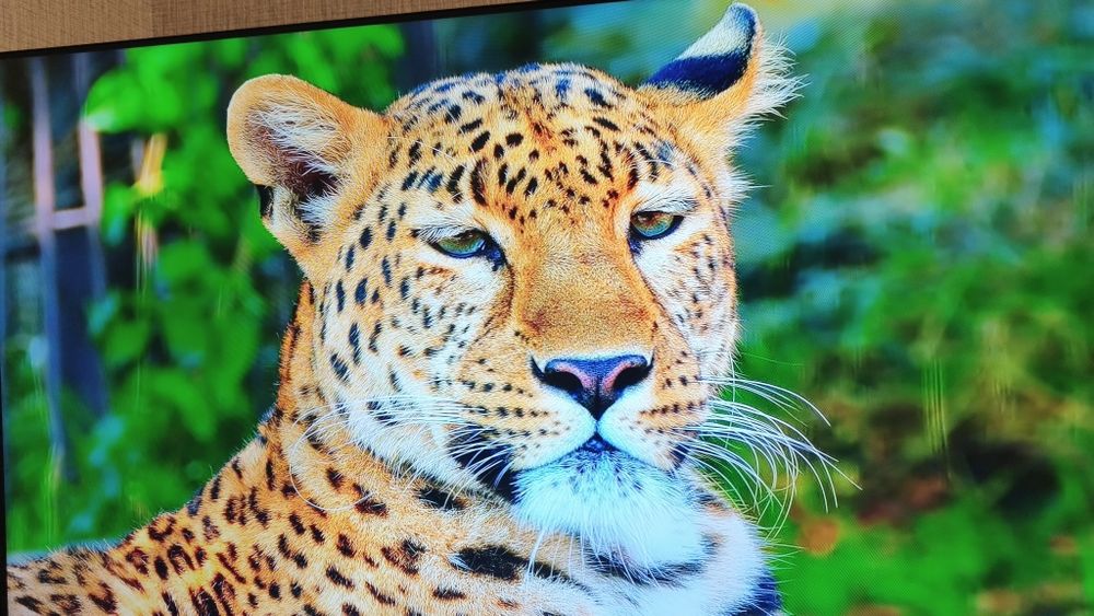 Продам телевизор tc qledl 55дюймов c635