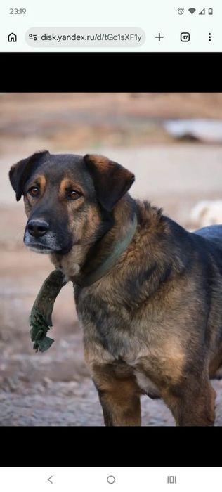 сТорожа, ОхраНики, ЗвоНочки .