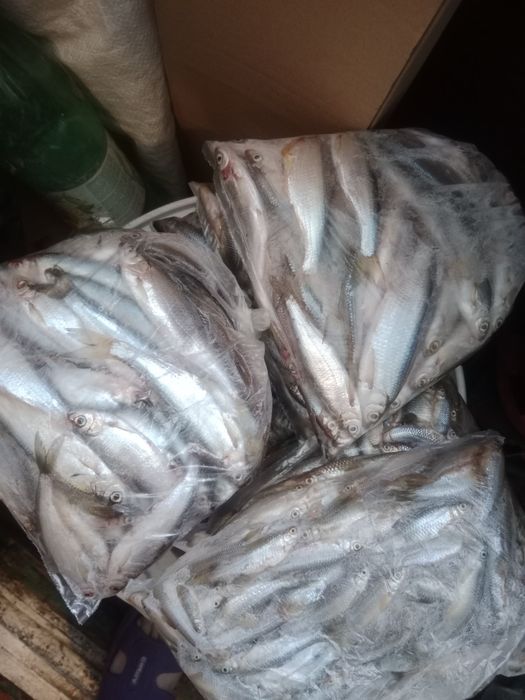 Продам мелкую рыбку