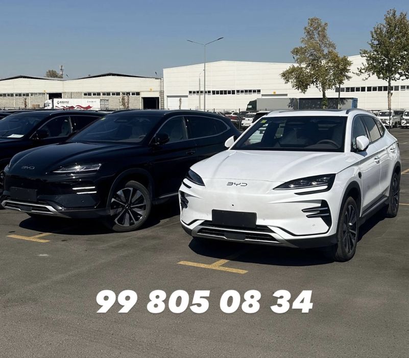 Byd song plus champion