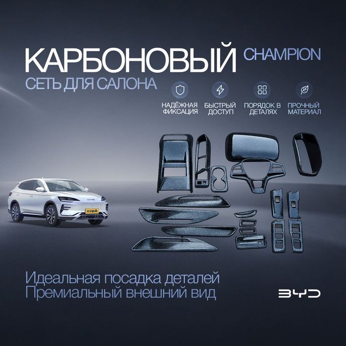 Карбоновый комплект элементов салона для BYD Champion