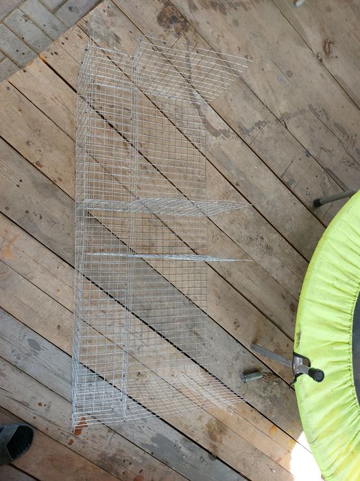 Клетки для шиншилл