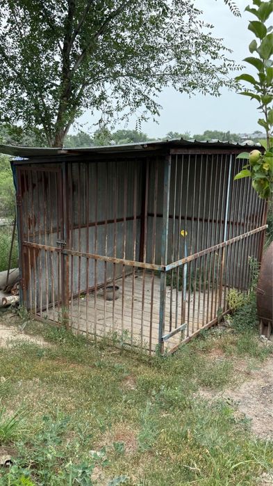 Итке арналған сетка