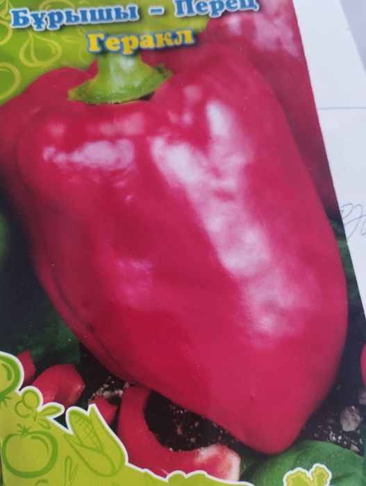 Продам рассаду перцев.доставка