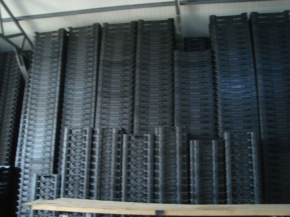 lazi fructe diferite dimensiuni