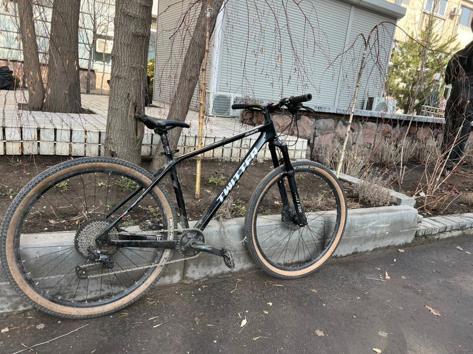 Twitter leopard pro 29