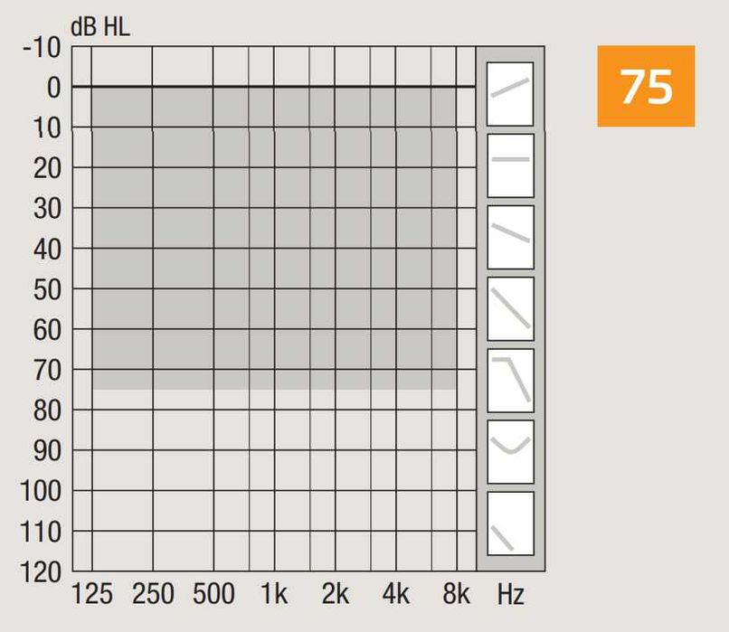 Quloq aparat Eshitish moslamasi Слуховые аппараты Oticon Jet 2 CIC