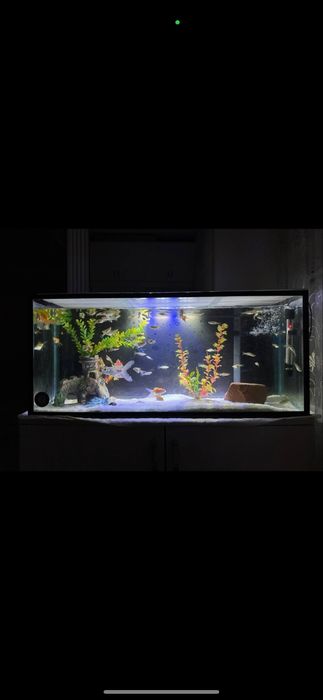 Аквриум срочно 200 л