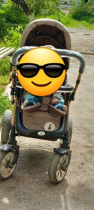 Bars kalyaskasi. Bahorda olingan 4 oy ishlatilgan holati yaxshi.