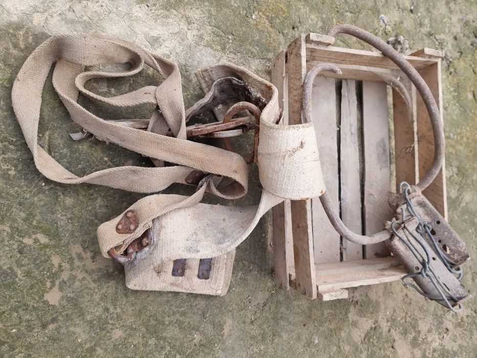 Ёг'оч столбага чикадигон