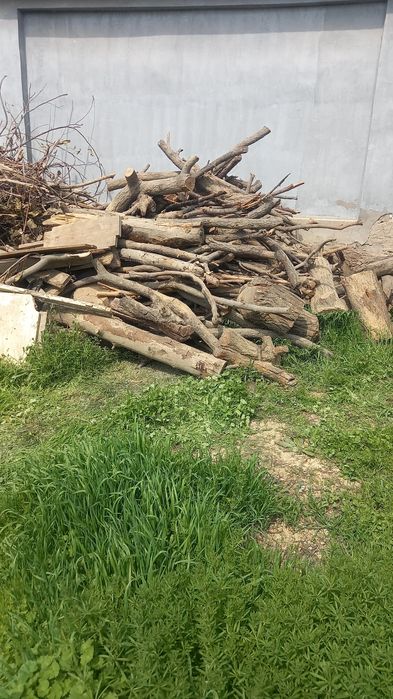 Продам   большое ореховое дерево . И дрова абрикос и орех .