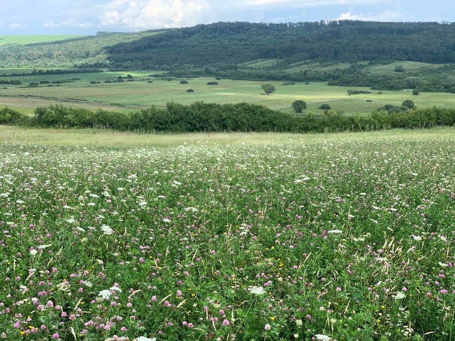Timis, La 7km de A1 Asociere in locatie rurala multifunctionala