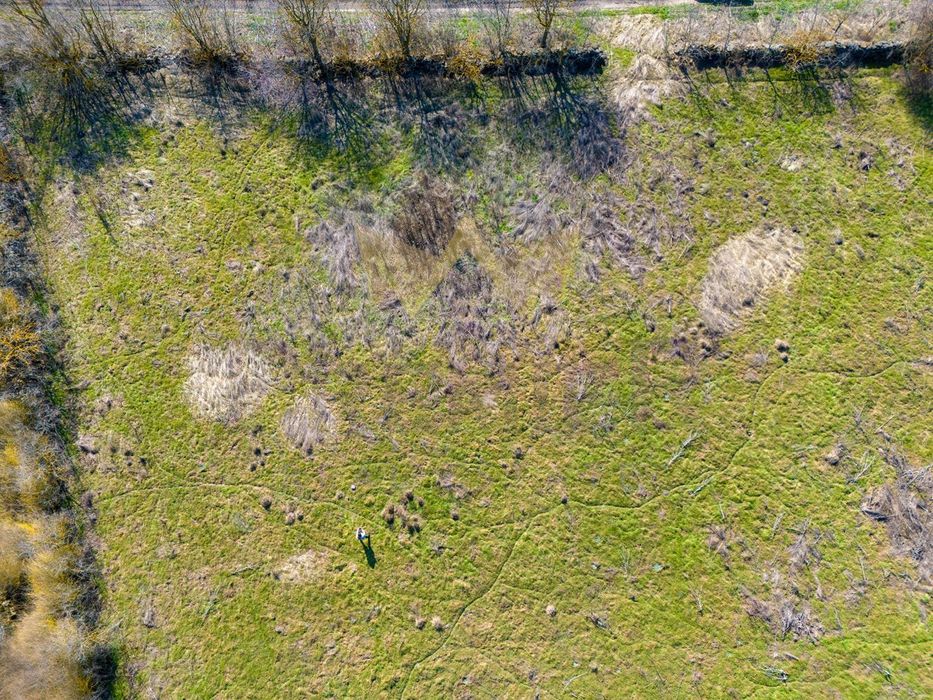 Продава се Парцел в с. Българево, Област Добрич - 1000 кв.м за 11 €/кв.м - Снимка #3