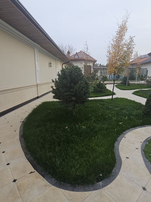 Ландшафтная компания ENTER GREEN LIFE