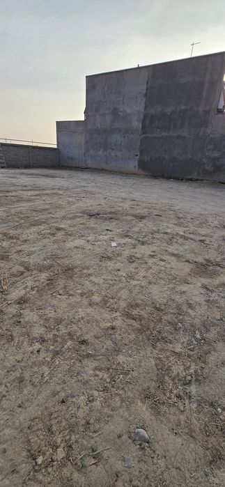 Онкоргон Кибрай Сельхоз