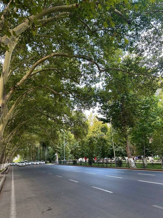 Самарканд: тёплый, дружелюбный, гостеприимный Обзорная экскурсия и тур