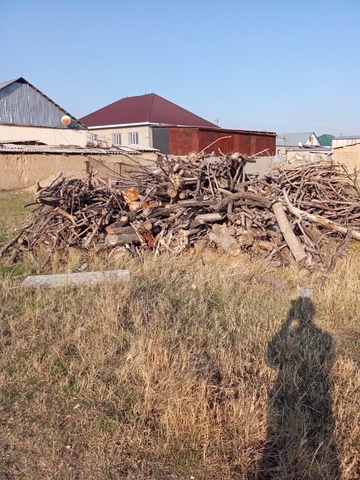 Отын сатамын срочна