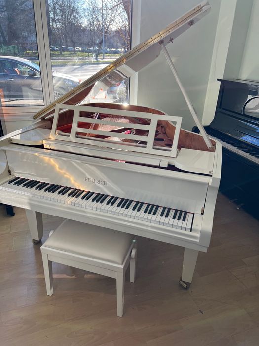 Роял FEURICH 179 – Dynamic II