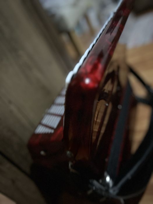 Acordeon parrot rosu top