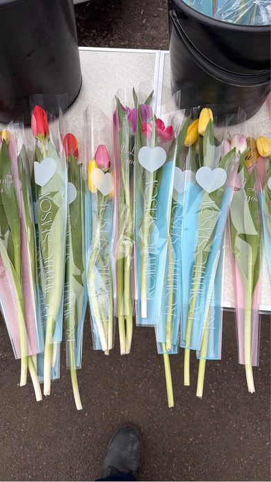 Тюльпаны все по 800 тг