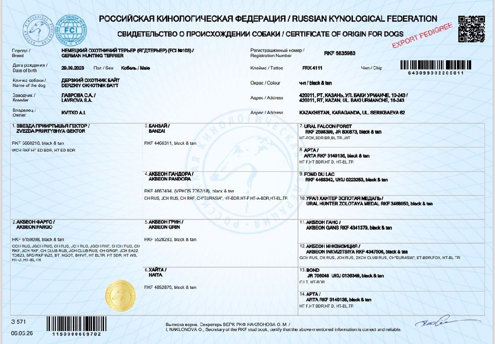 Щенки Ягд Терьера