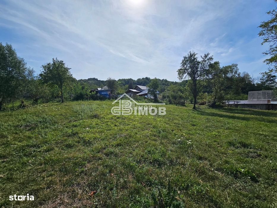Teren 10.215mp langa padure | 4000 mp intravilan | Vulcana de Sus