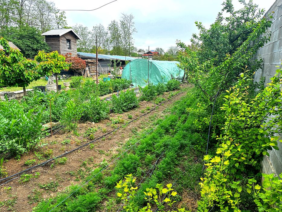 Proprietar – teren intravilan 1.522 mp, 2 intrări  utilități gard beton sere lac – zona CAP
