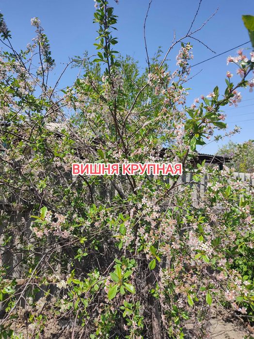 Продам дачу на Бобровке